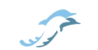 The image shows two stylized dolphins, one light blue and the other dark blue, gracefully leaping over waves in a minimalist design.